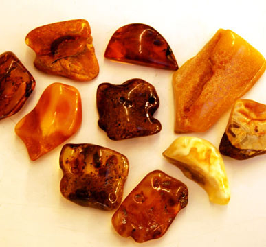 Amber rough and tumbled