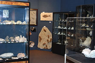 High-class mineral room with fossils