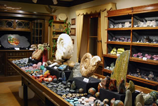 Fossil room