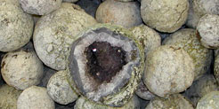 Geoden & Achate Geoden & Achate