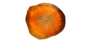 Karneol Karneol