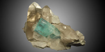 Top Minerals